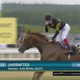 Horse Owned By Wes Welker Wins Diamond Jubilee Stakes At Royal Ascot